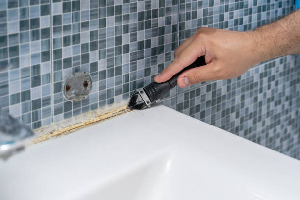 Best Post-Remediation Services in Hanover, MN