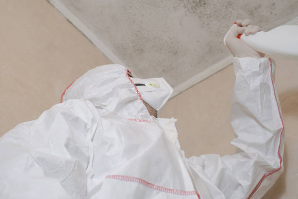 Best Residential Mold Remediation in Hanover, MN