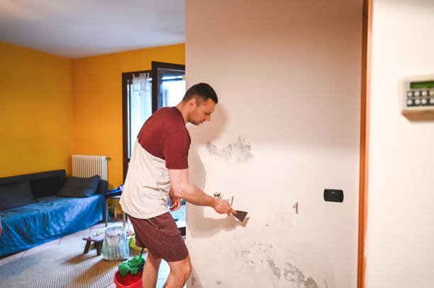 Best HVAC Mold Remediation in Hanover, MN